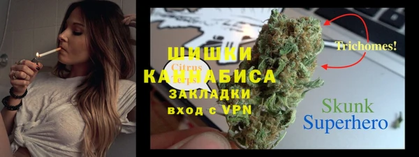 гидра Арсеньев