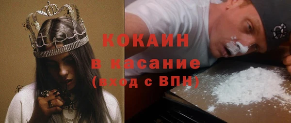 гидра Арсеньев
