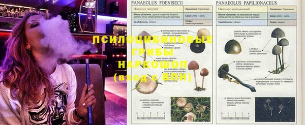 мескалин Балахна