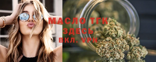гидра Арсеньев