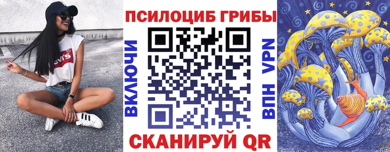 Псилоцибиновые грибы Cubensis  Абакан 